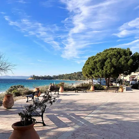6 Couchages A 100m Avec Terrasse, Parking, Lave-linge Et Piste Cyclable Proche - Fr-1-251-550 Le Lavandou